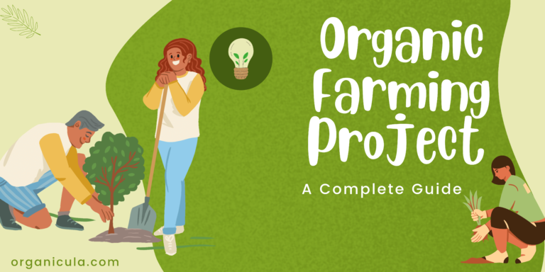 Organic Farming Project A Complete Guide Organicula