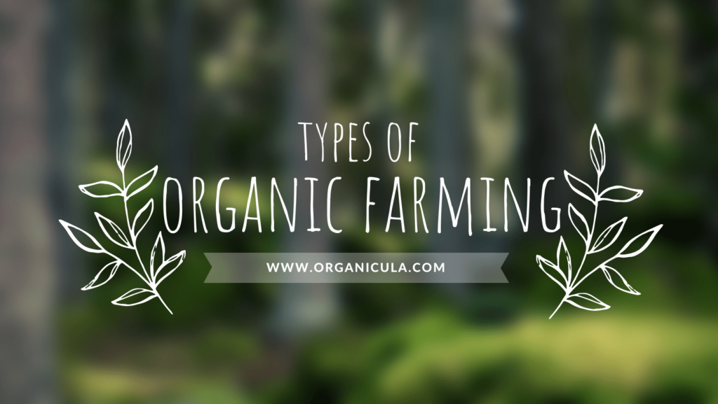 Understanding The Different Types Of Organic Farming Organicula