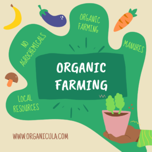 organic farming in india