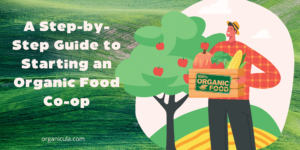 Read more about the article A Step-by-Step Guide to Starting an Organic Food Co-op