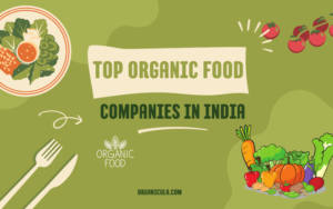 Read more about the article <strong>Top Organic Food Companies in India </strong>