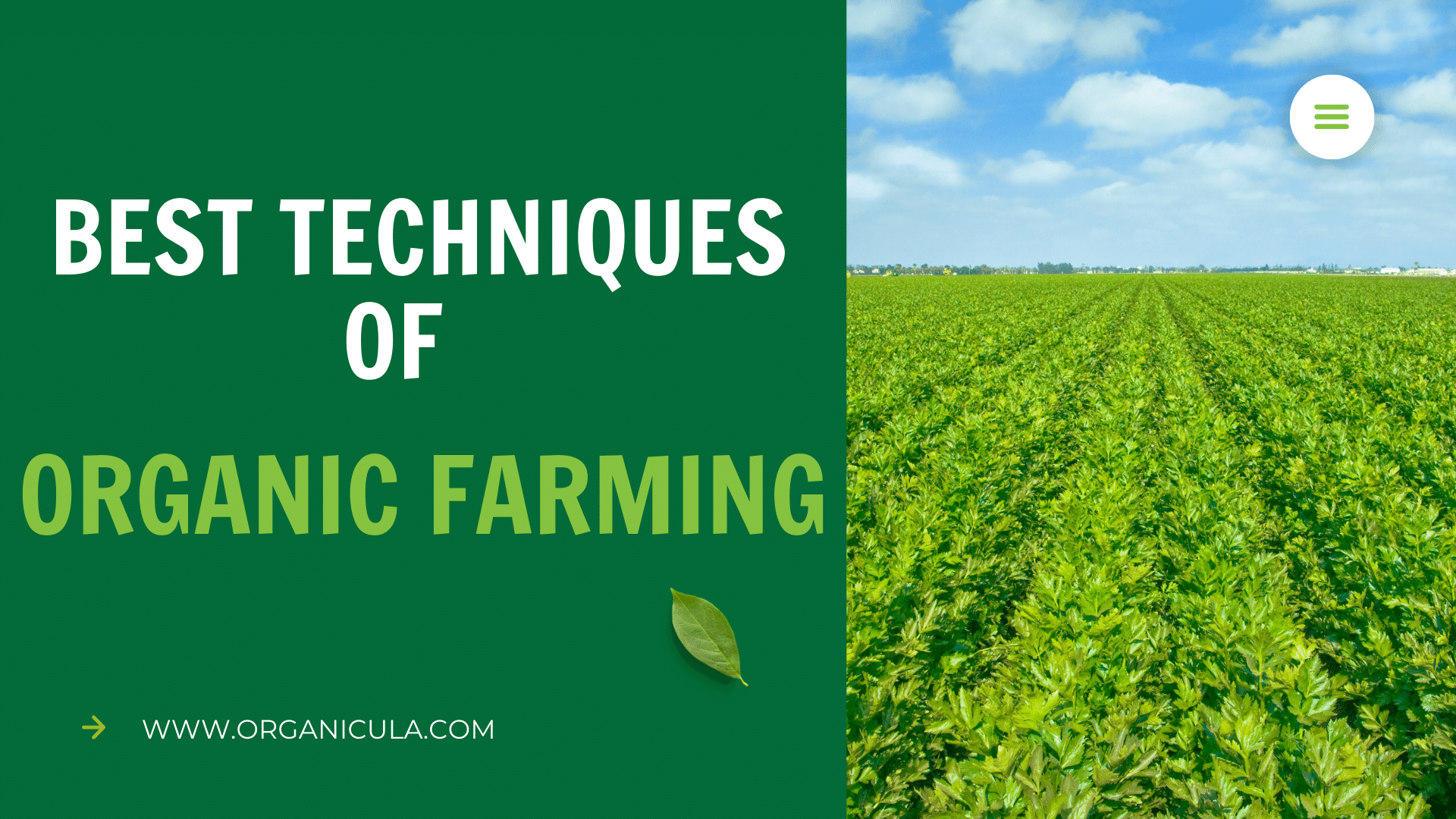 You are currently viewing <strong>Best Techniques of Organic Farming</strong>