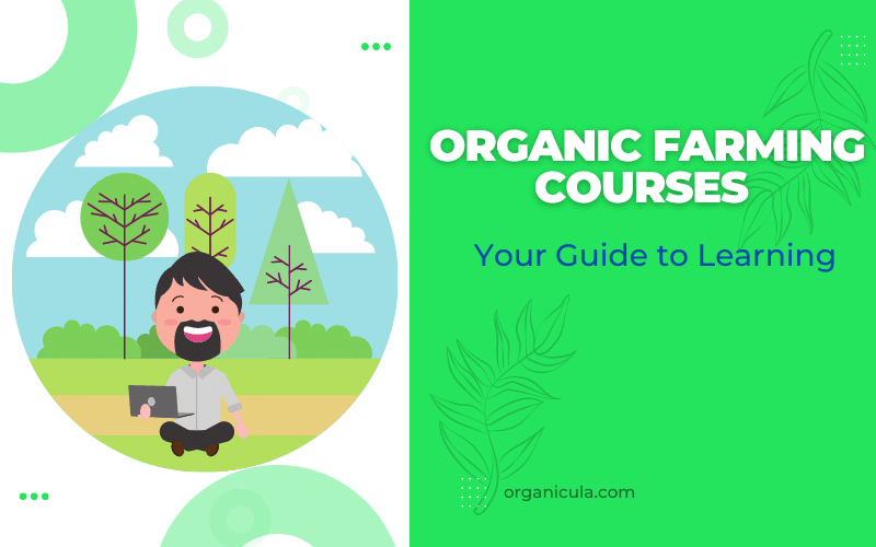 You are currently viewing <strong>Organic Farming Courses – Your Guide to Learning</strong>