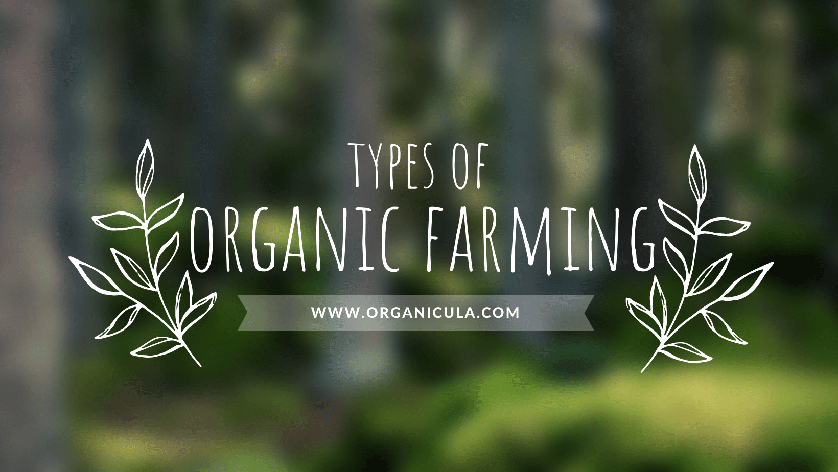 You are currently viewing Understanding the Different Types of Organic Farming