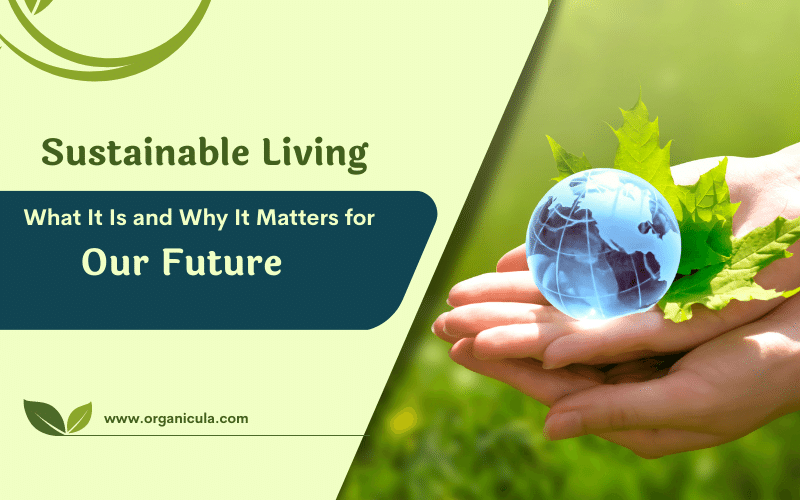 Read more about the article Sustainable Living: What It Is and Why It Matters for Our Future