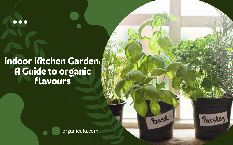 Read more about the article <strong>Indoor Kitchen Garden: A Guide to organic flavours</strong>