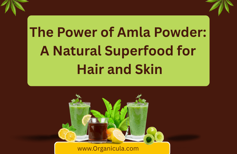 Read more about the article The Power of Amla Powder: A Natural Superfood for Hair and Skin